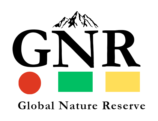 Instant form site logo